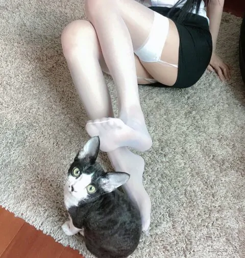 51酱 写真合集[17套][持续更新]